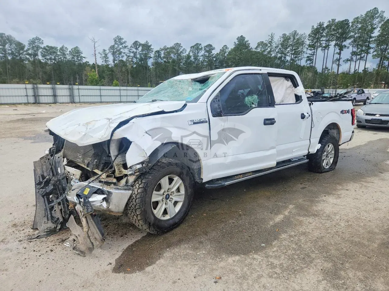 Ford F-150 5.0L 8 2019