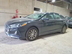 Hyundai Sonata 2.4L 4 2019