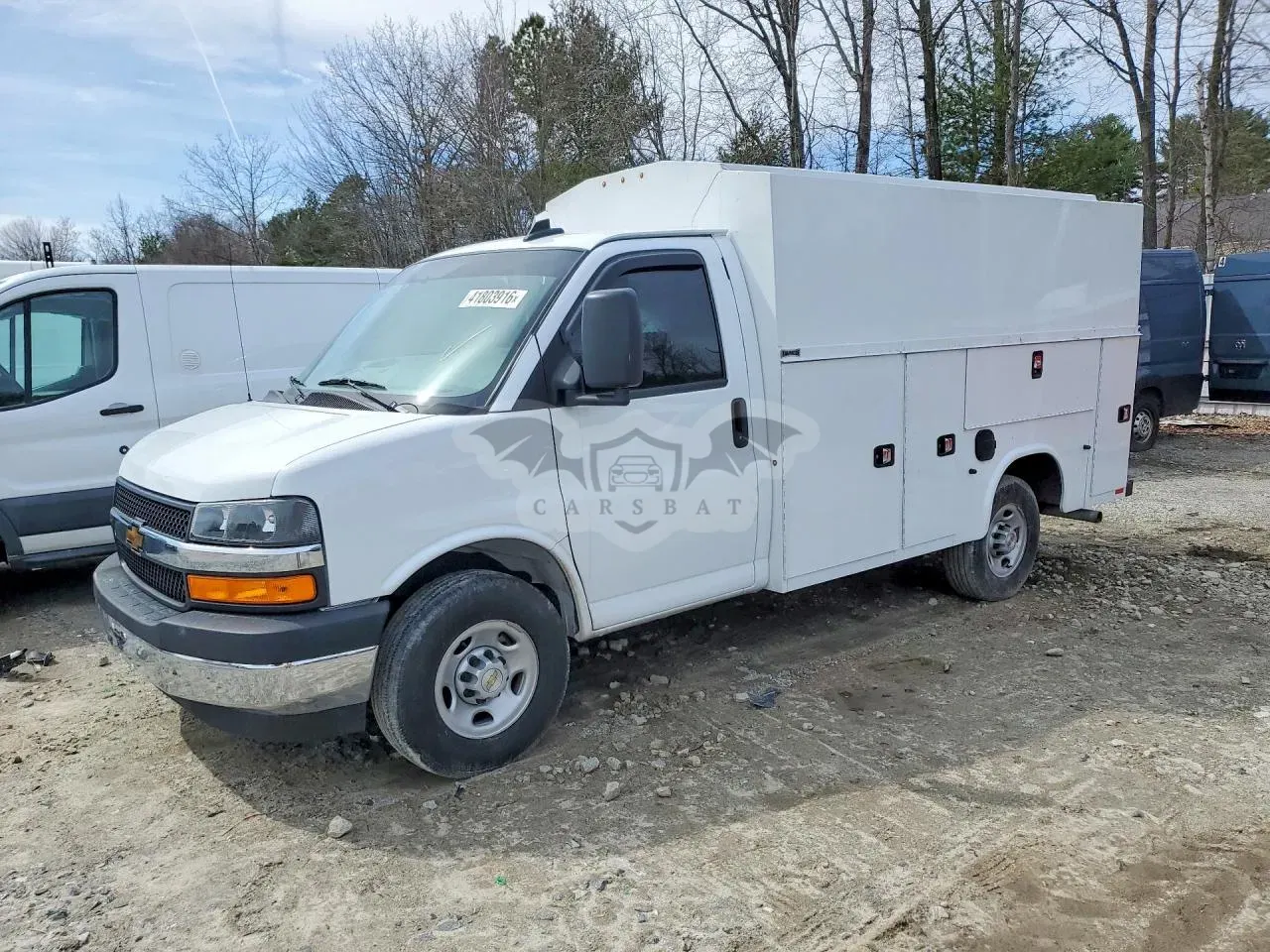 Chevrolet Express 6.6L 8 2025