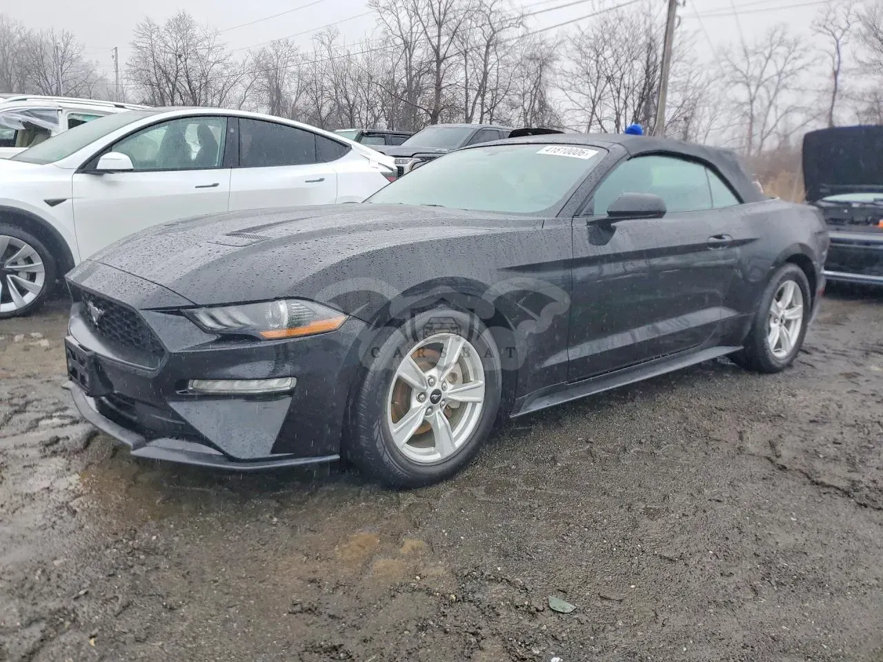 Ford Mustang 2.3L 4 2020