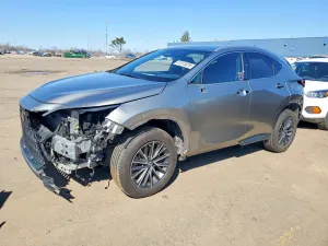 Lexus NX 2.4L 4 2022