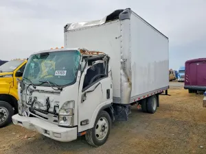 Isuzu NPR 5.2L 4 2024