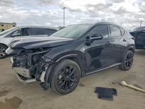 Lexus NX 2.4L 4 2024