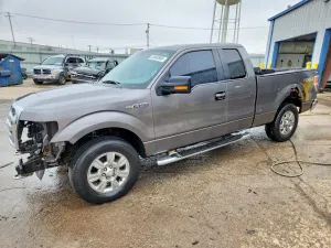 Ford F-150 4.6L 8 2009