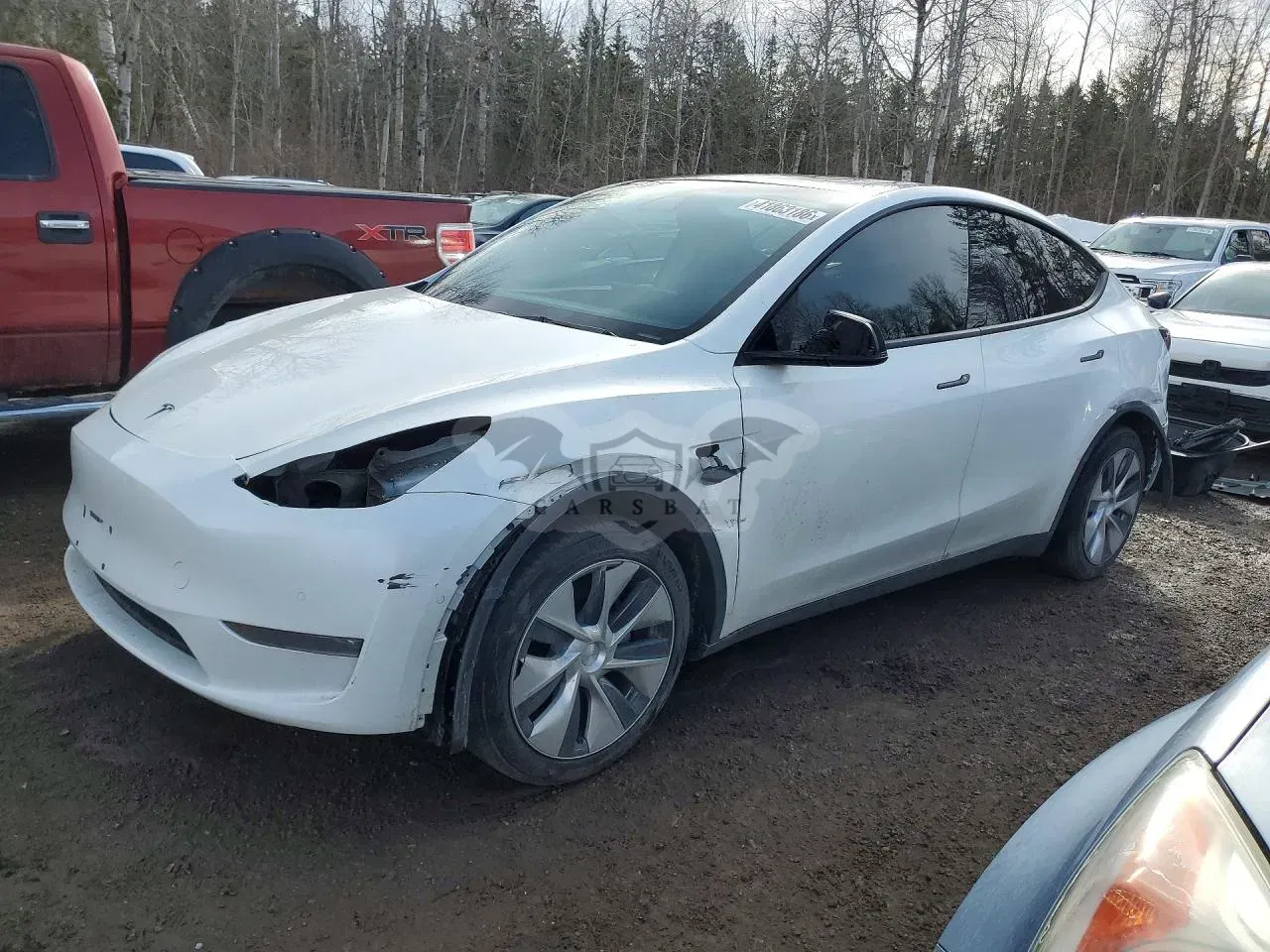 Tesla Model Y 2021