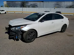 Kia Cerato / Forte / K3 2.0L 4 2021