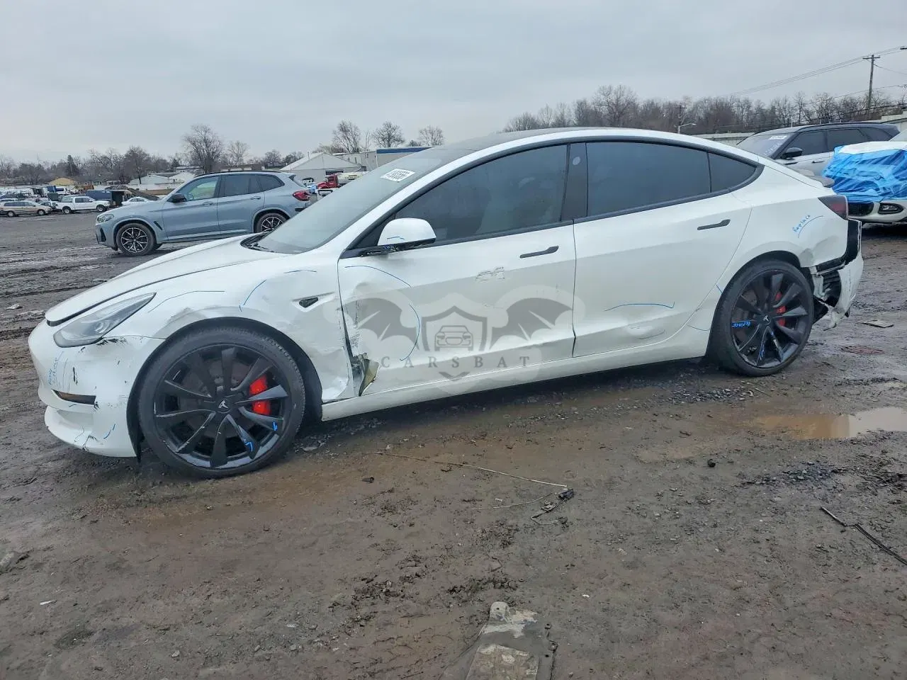 Tesla Model 3 2020