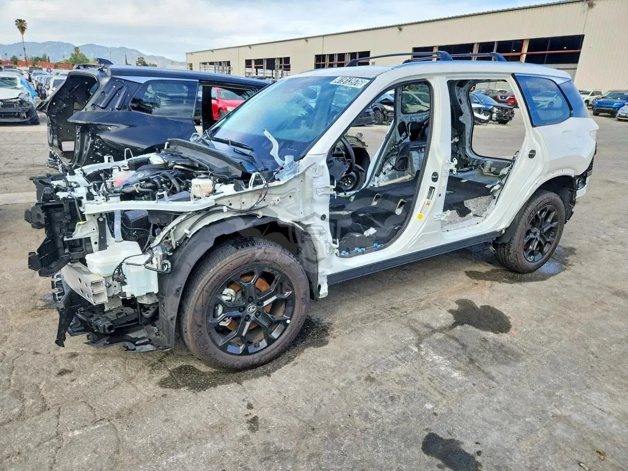 Lexus TX Series 2.4L 4 2024