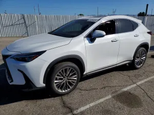 Lexus NX 2.4L 4 2026
