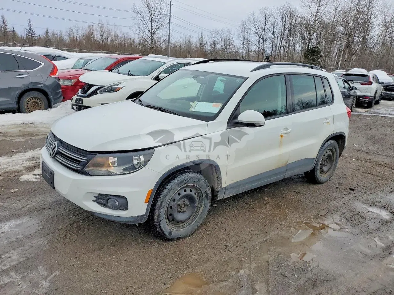 Volkswagen Tiguan 2.0L 4 2016