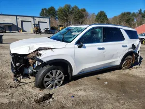 Hyundai Palisade 3.8L 6 2023