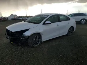 Kia Cerato / Forte / K3 2.0L 4 2023