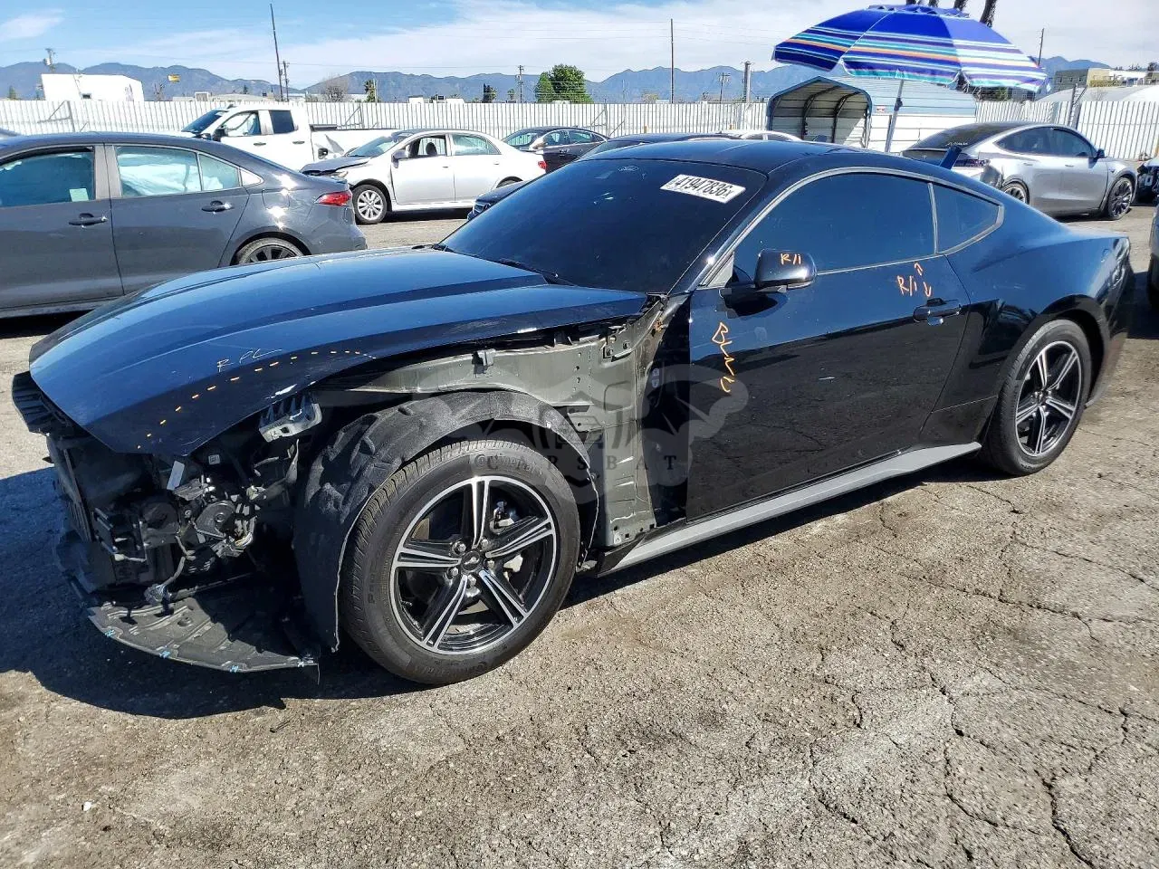 Ford Mustang 2.3L 4 2024