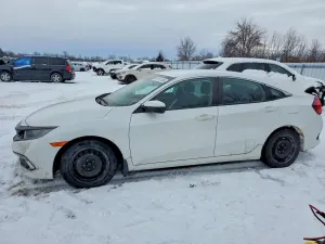 Honda Civic 2.0L 4 2020
