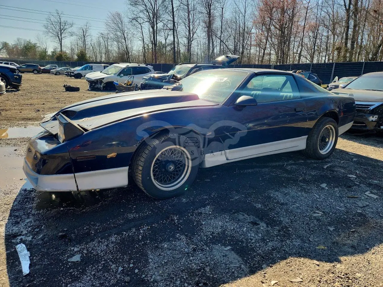 Pontiac Firebird 5.0L 8 1986