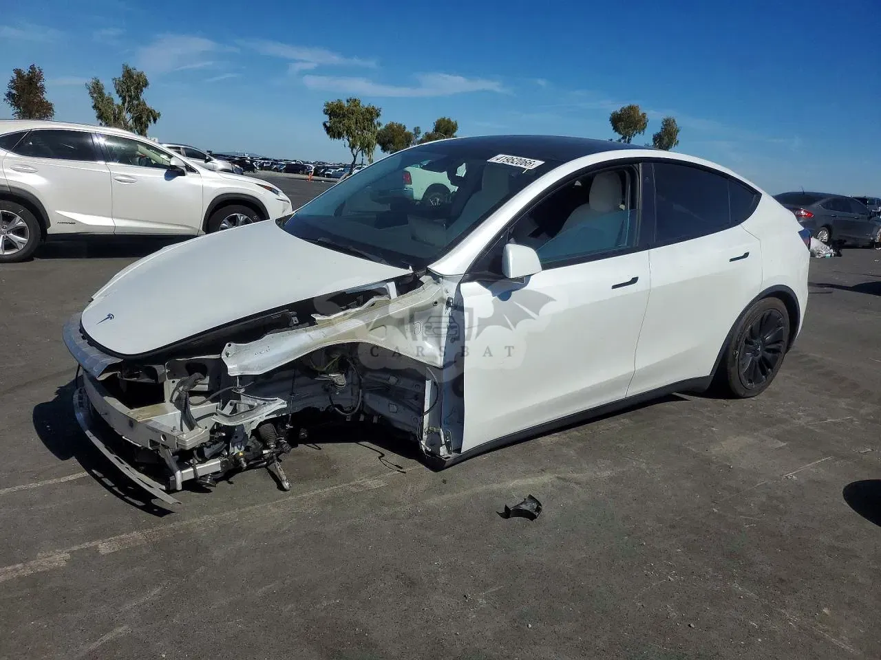 Tesla Model Y 2021