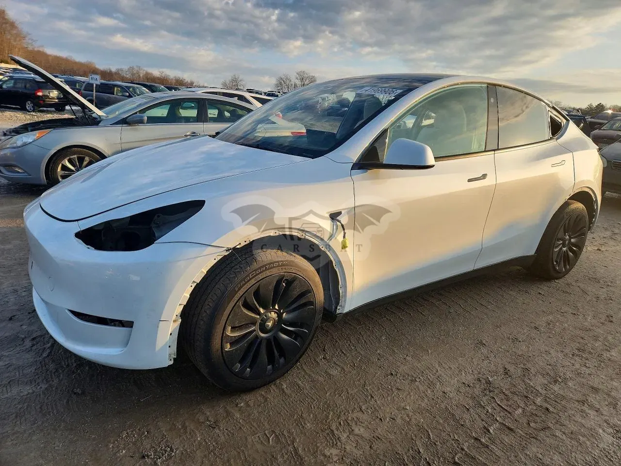 Tesla Model Y 2023