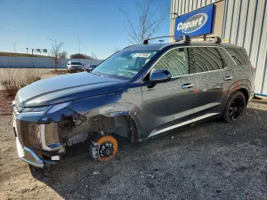 Hyundai Palisade 3.8L 6 2024