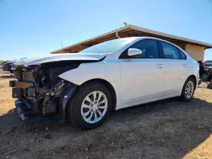 Kia Cerato / Forte / K3 2.0L 4 2020