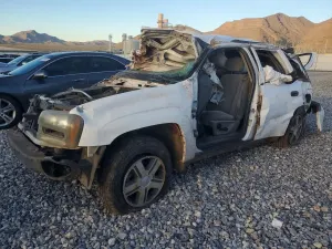 Chevrolet Trailblazer 4.2L 6 2005