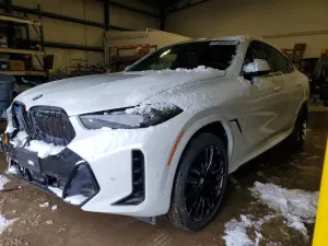 BMW X6 3.0L 6 2024