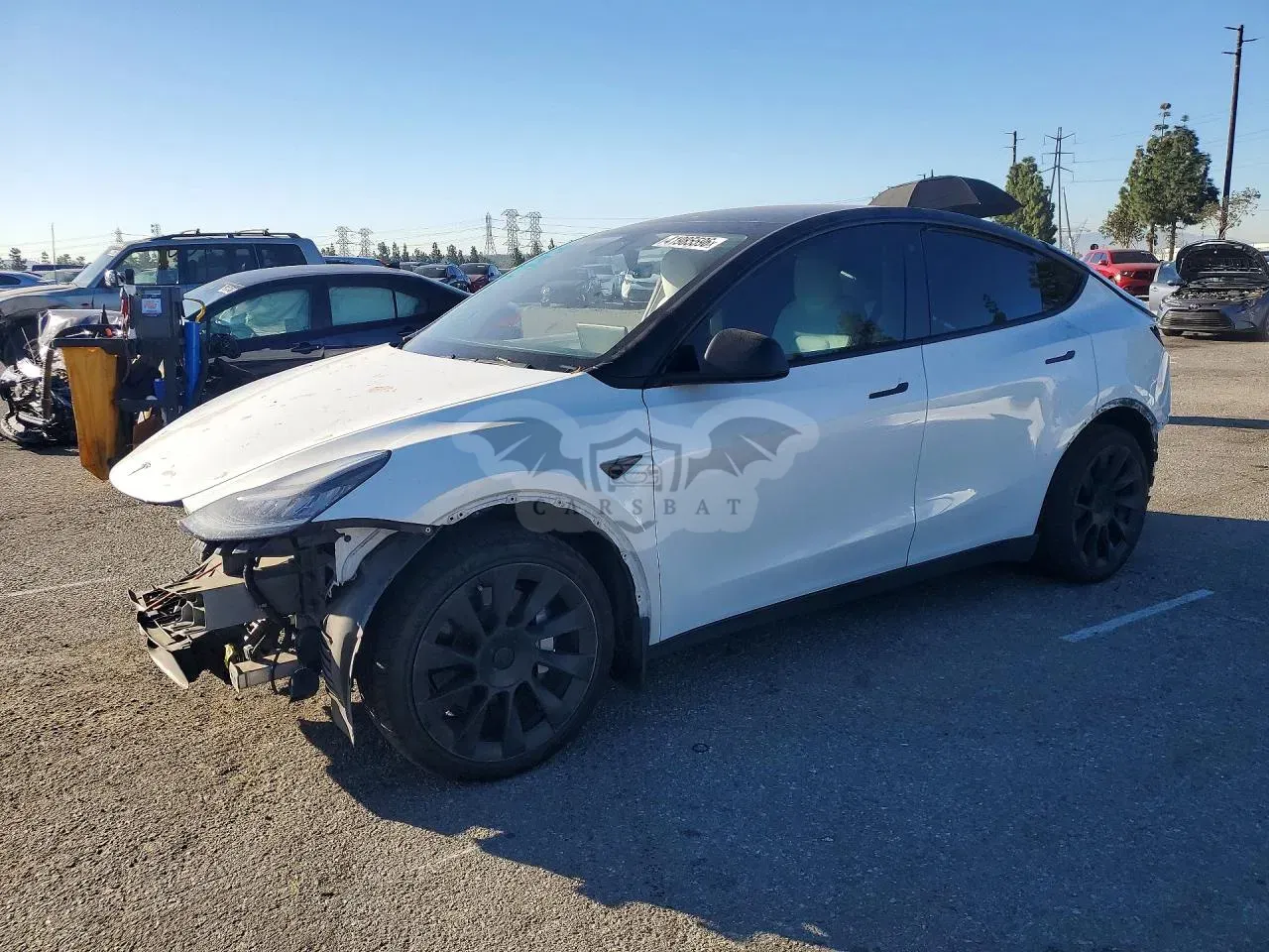 Tesla Model Y 2020