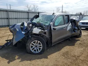 Chevrolet Silverado 1500 5.3L 8 2019