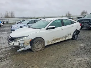 Honda Civic 2.0L 4 2019