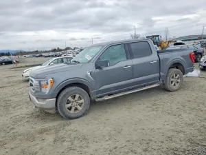 Ford F-150 3.5L 6 2023