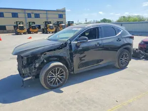 Lexus NX 2.5L 4 2025