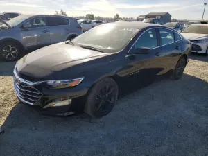 Chevrolet Malibu 1.5L 4 2019