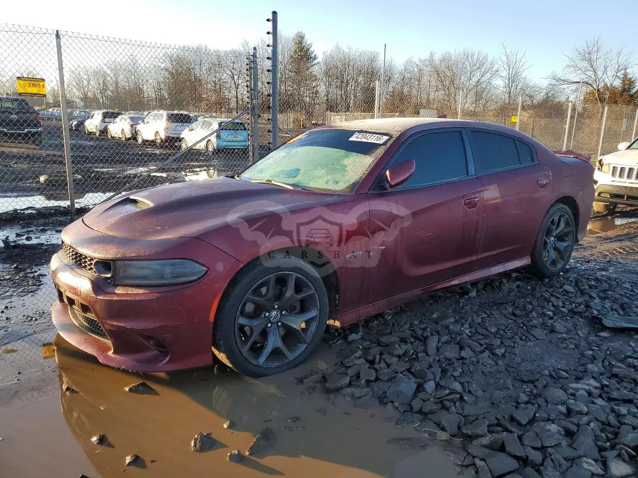 Dodge Charger 5.7L 8 2019