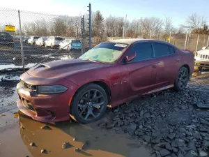 Dodge Charger 5.7L 8 2019
