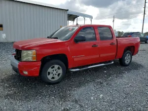 Chevrolet Silverado 1500 5.3L 8 2007