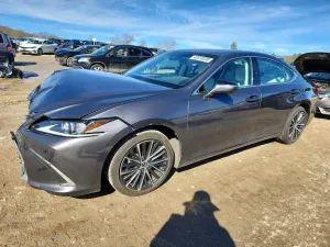 Lexus ES 3.5L 6 2024