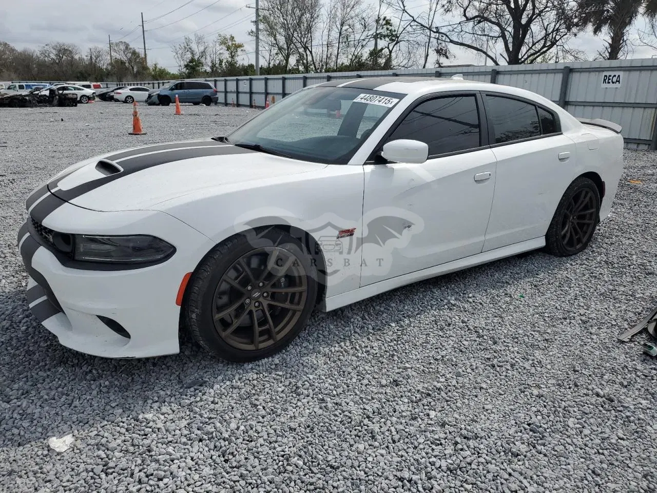 Dodge Charger SCAT PACK 6.4L 8 2019