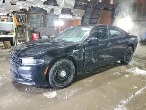 Dodge Charger POLICE 3.6L 6 2021