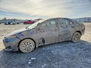 Toyota Corolla 1.8L 4 2017