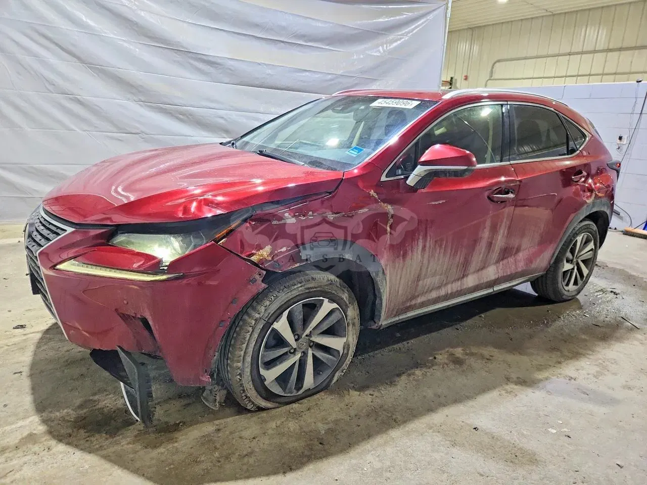 Lexus NX 2.0L 4 2019