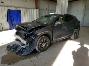 Lexus NX 2.4L 4 2024