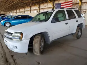 Chevrolet Trailblazer 4.2L 6 2007