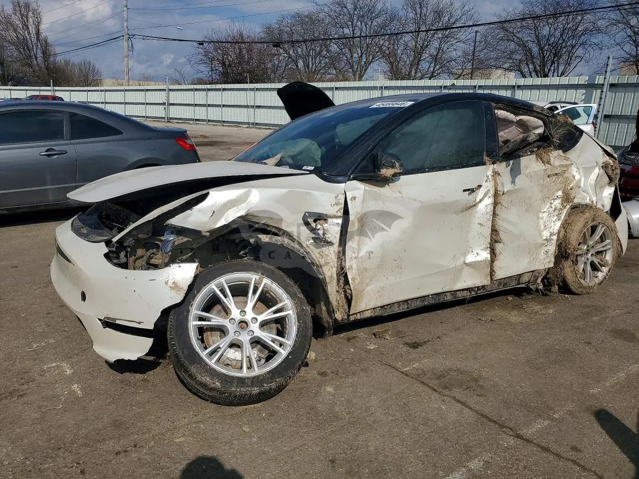 Tesla Model Y 2023