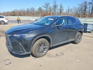 Lexus NX 2.4L 4 2026
