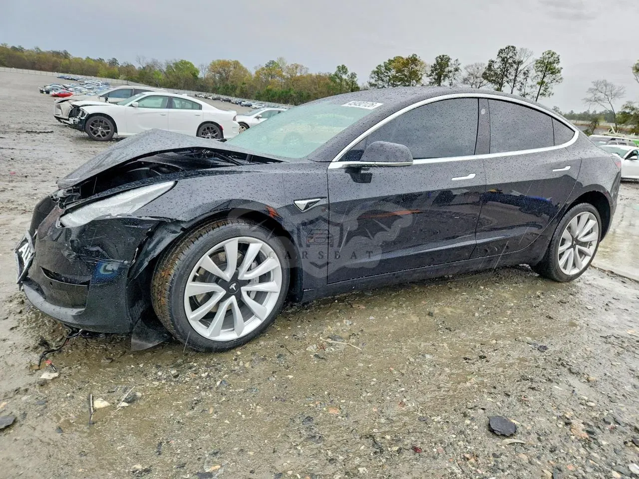 Tesla Model 3 2020