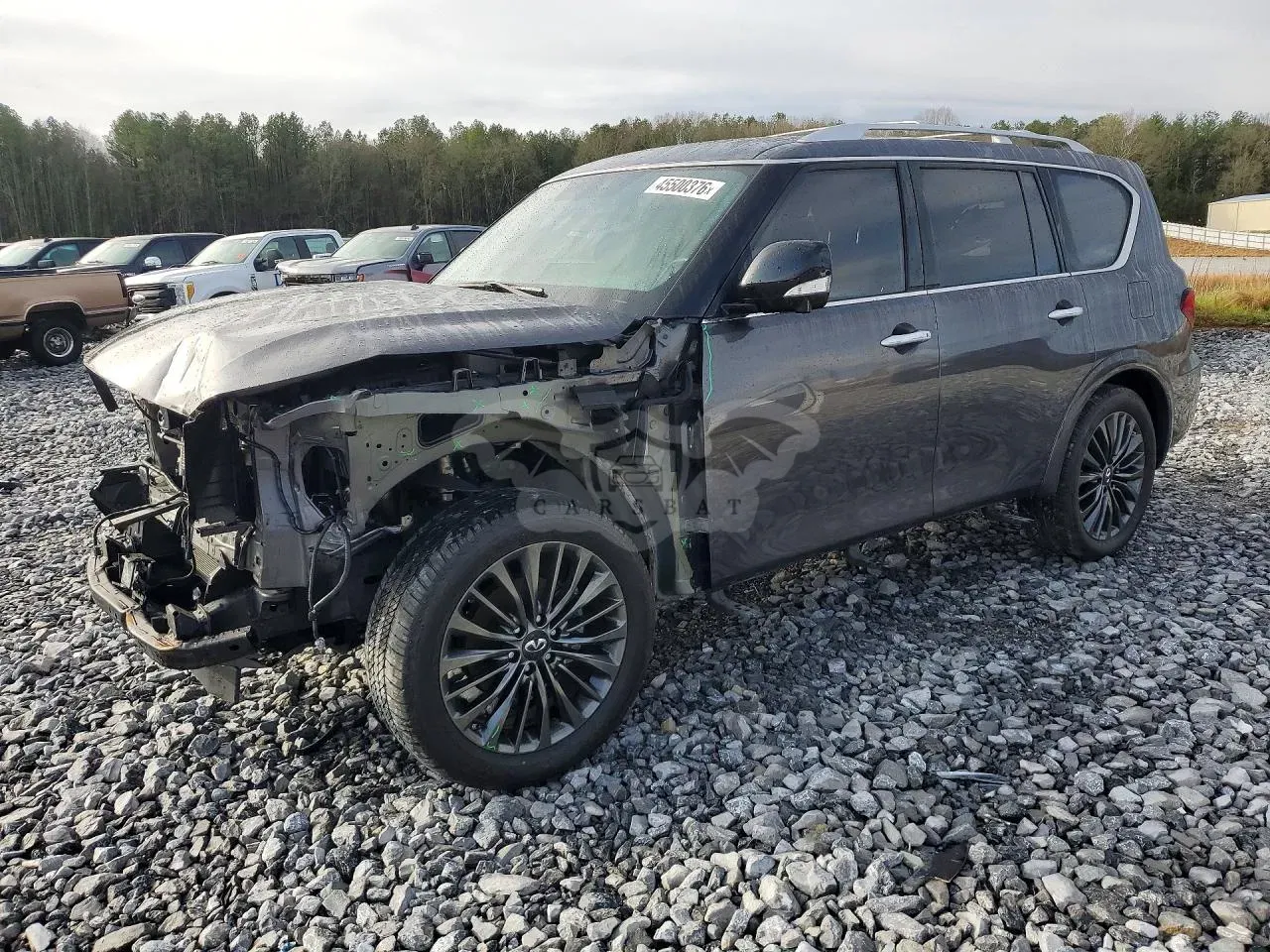 Infiniti QX80 5.6L 8 2024