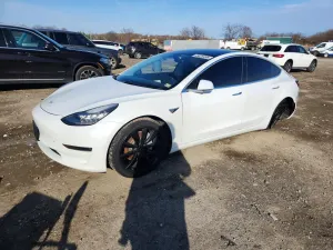 Tesla Model 3 2019