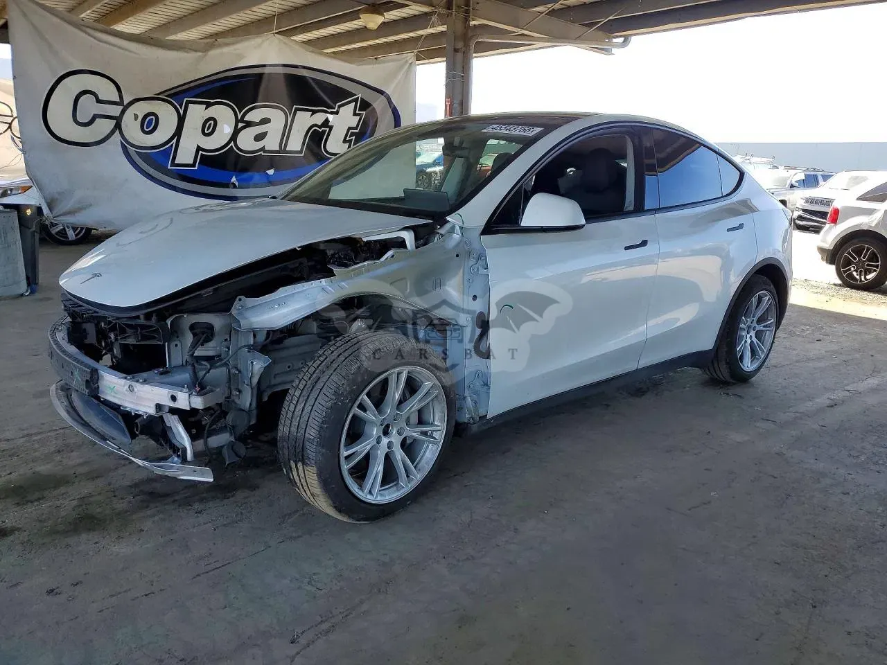 Tesla Model Y 2020