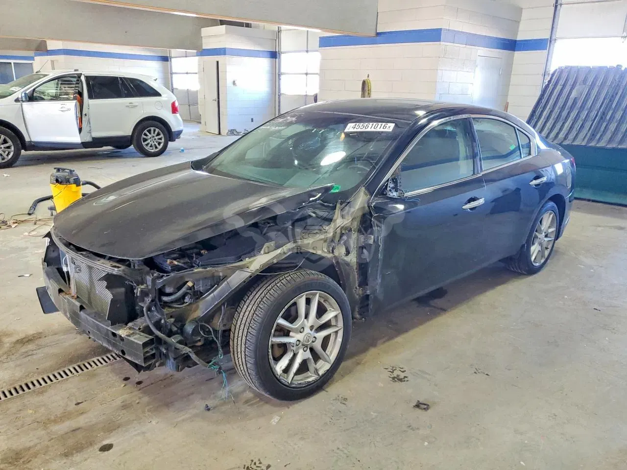 Nissan Maxima 3.5L 6 2009