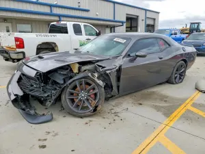 Dodge Challenger 6.4L 8 2019
