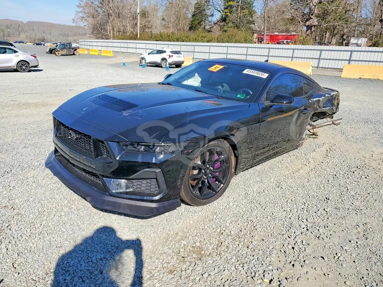 Ford Mustang 5.0L 8 2024